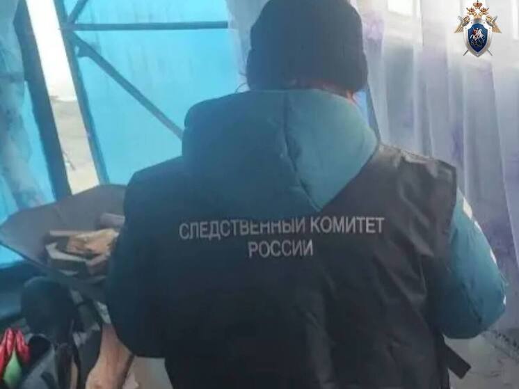 Не топором, а поленом: грабитель расправился с пенсионеркой Приморья ради сережек