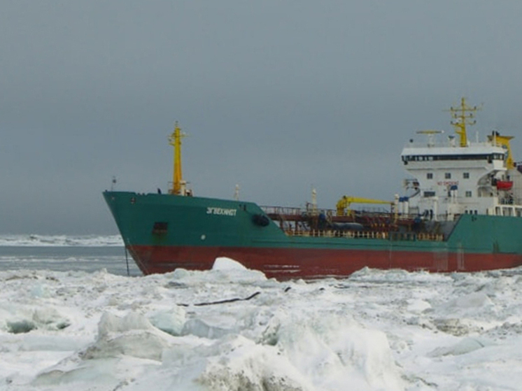 Два судна Чукотской торговой компании выставят на продажу за долги по налогам