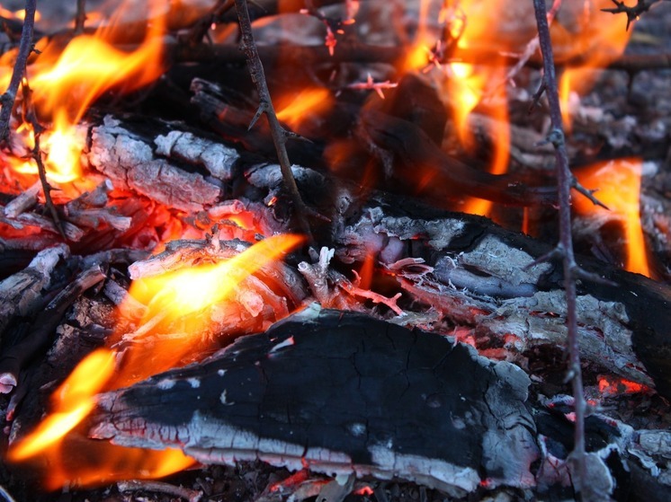 Принес шины и жидкость для розжига: в поджоге старого цирка подозревают жителя Уссурийска