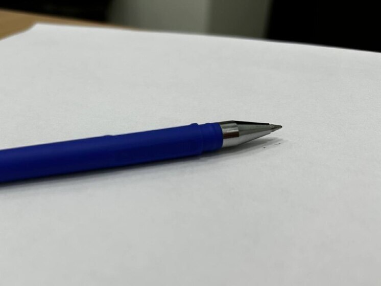 Журналисты двух Алтаев приняли участие в прямой линии Владимира Путина