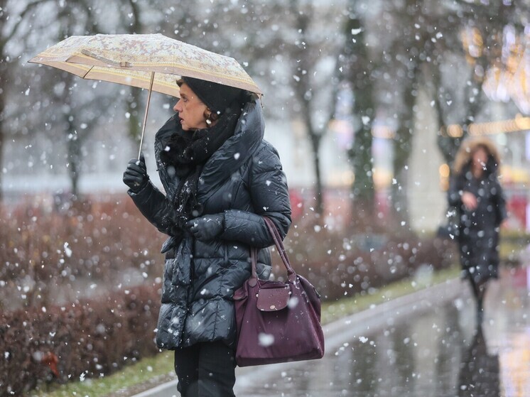 Вильфанд: на следующей неделе в Москве сформируется снежный покров высотой до 4 сантиметров