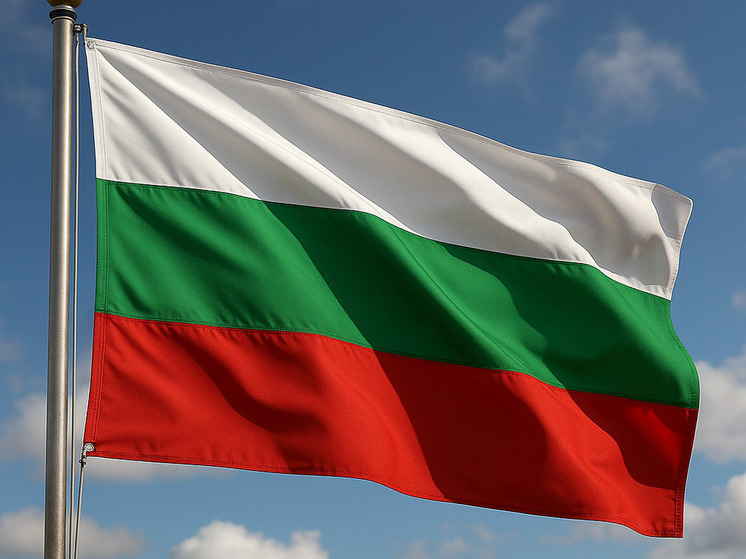 Партия «Возрождение» в болгарском парламенте намерена оспорить предоставление кредита Украине