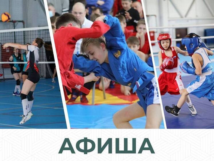 Биробиджанцам назвали заключительные спортмероприятия 2025 года (+6)