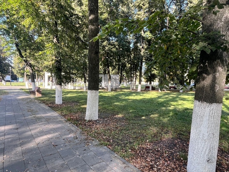 В Орле хотят разработать двухлетний план озеленения с учетом мнения горожан