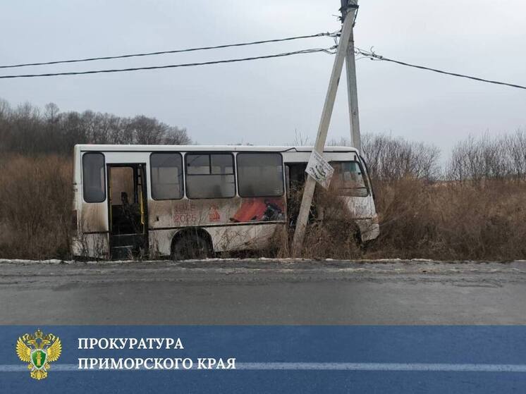 На трассе Приморья в столб электропередачи влетел пассажирских автобус