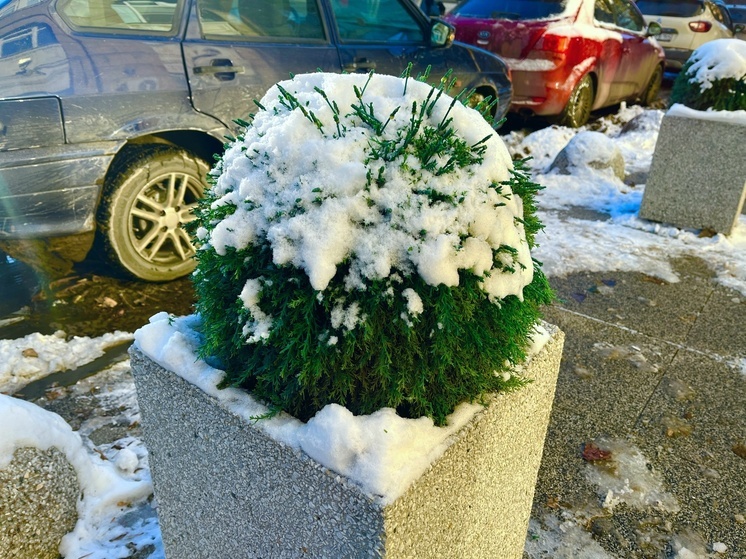 20 декабря в Саратовской области без осадков, облачный день с легким ветром
