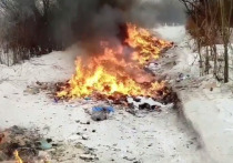 В мусоровозе Хабаровска загорелись отходы при перевозке