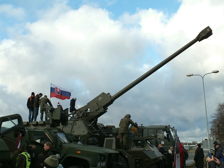 Марио Бойич: У Евросоюза вместо дееспособной армии "ЛГБТ*-бригады