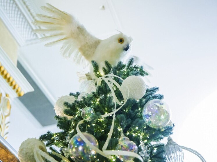 В Челябинске продавец пиротехники нарушил требования пожарной безопасности