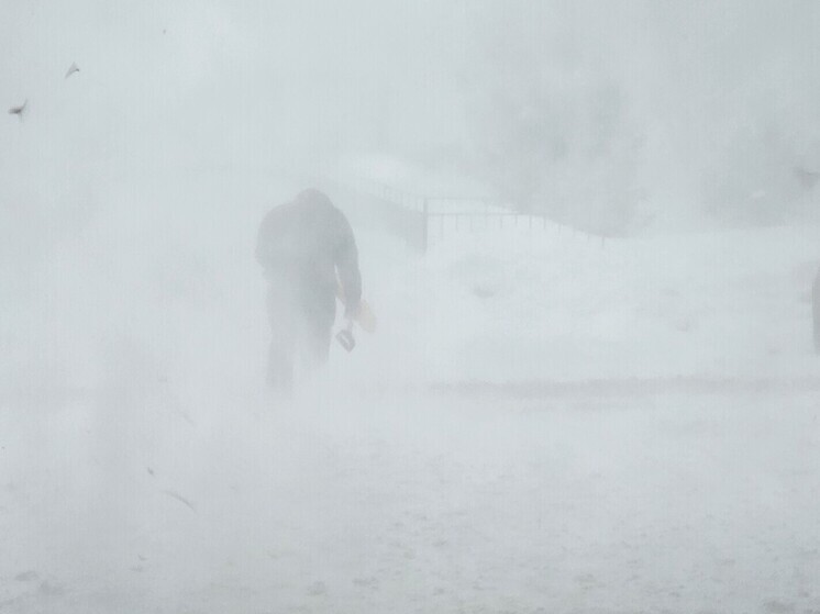 Резкое похолодание до -39 градусов ожидается в Новосибирской области в ближайшие дни