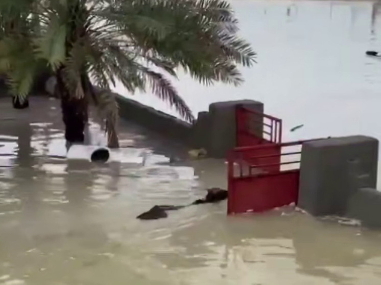 Сильнейшие снегопады и наводнения в Иране унесли жизни пяти человек