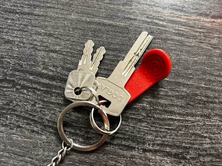 Дело о продаже квартиры актрисы Ларисы Долиной показало проблемы в системе купли-продажи жилья в России