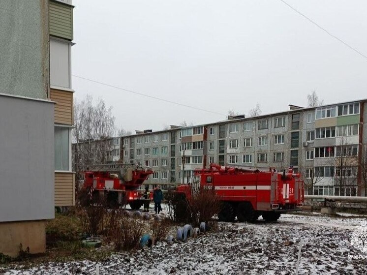 В Новомосковске горела квартира на 4-ом этаже многоквартирного дома