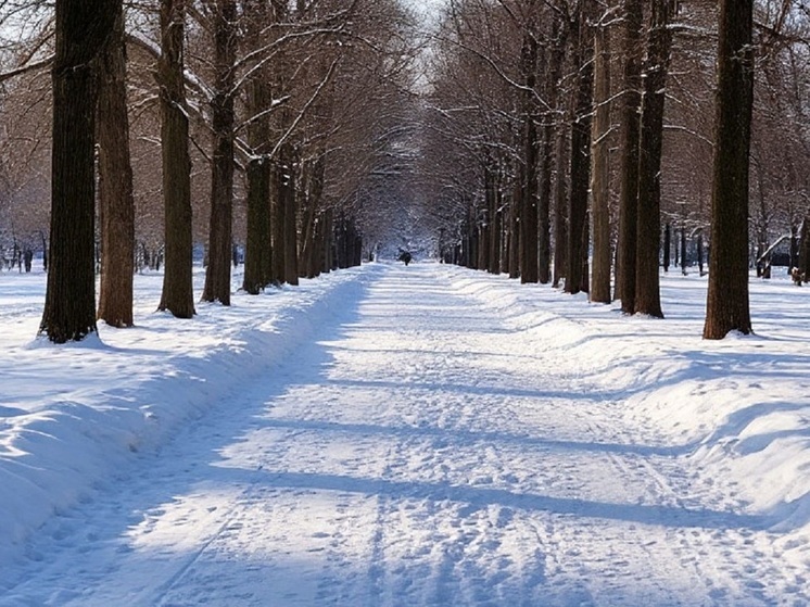 В Правительстве Магаданской области отчитались за итоги года