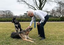 Говоря о фигурах мировой политики, в первую очередь рассказ заходит об их карьерных достижениях или неудачах