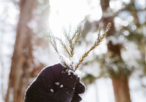 21 декабря — День Зимнего Солнцестояния