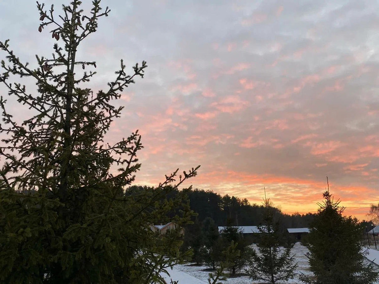 Ночью в Рязанской области объявляли беспилотную опасность