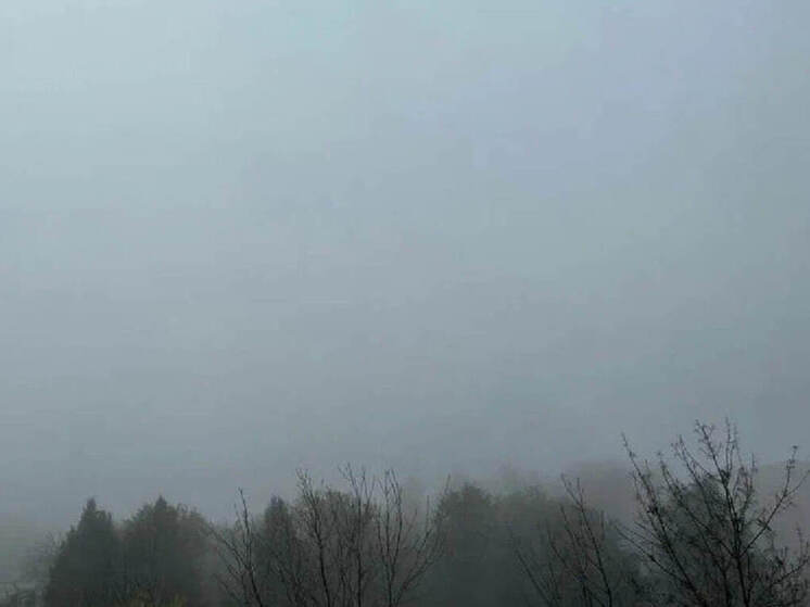 Туманная погода в Рязанской области сохранится до конца суток