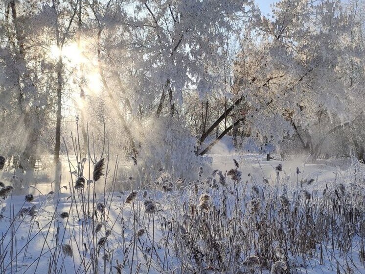 После снегопадов Омск накроет аномальный мороз ниже 40 градусов