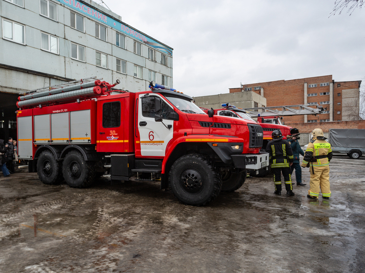 В Новосибирской области за сутки потушили 16 пожаров и извлекли пострадавших в 13 ДТП