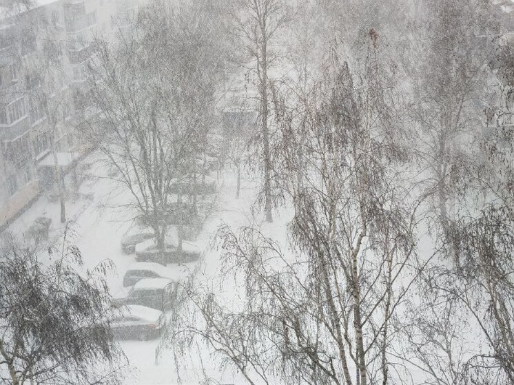 Какую погоду ждать жителям Пензенской области в выходные?