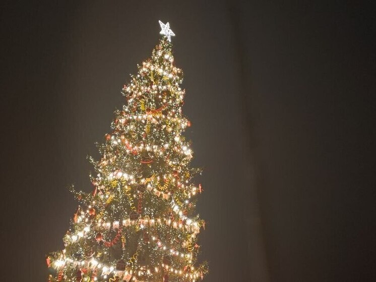 В Мурманской области разъяснили правила попадания детей на губернаторскую елку