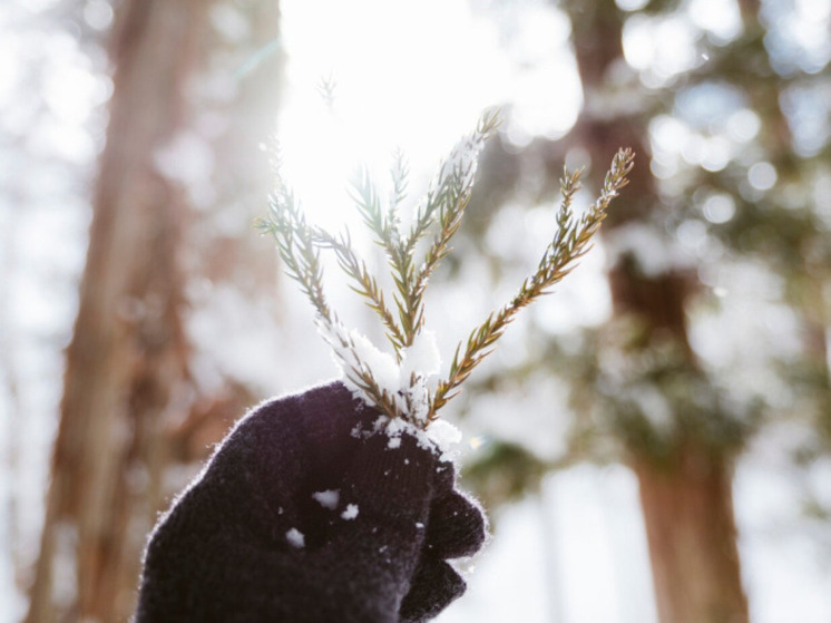 Россиянам рассказали о потаенном смысле дня зимнего солнцестояния 21 декабря