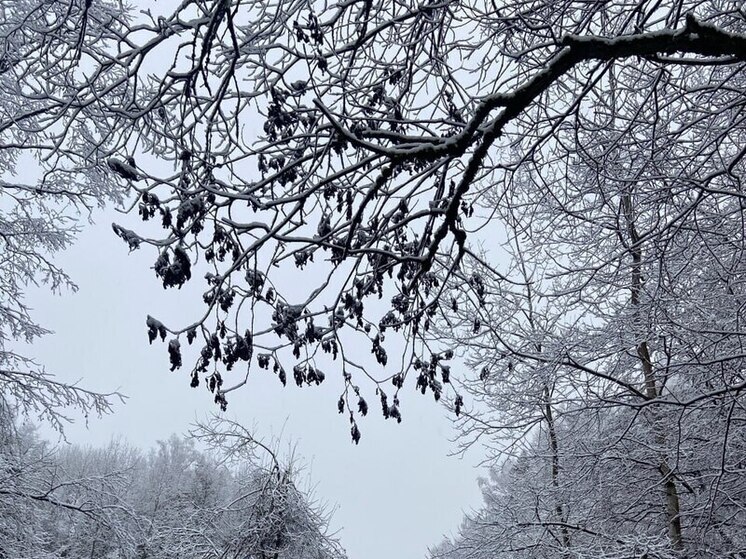 От положения струйного потока зависит, где будет располагаться холодный воздух