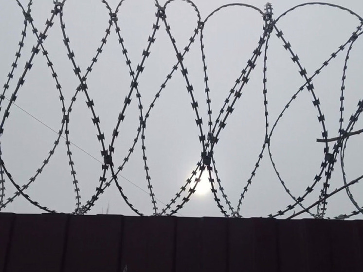 Школьнику из Курска дали 7 лет за попытку вступить в запрещенную организацию