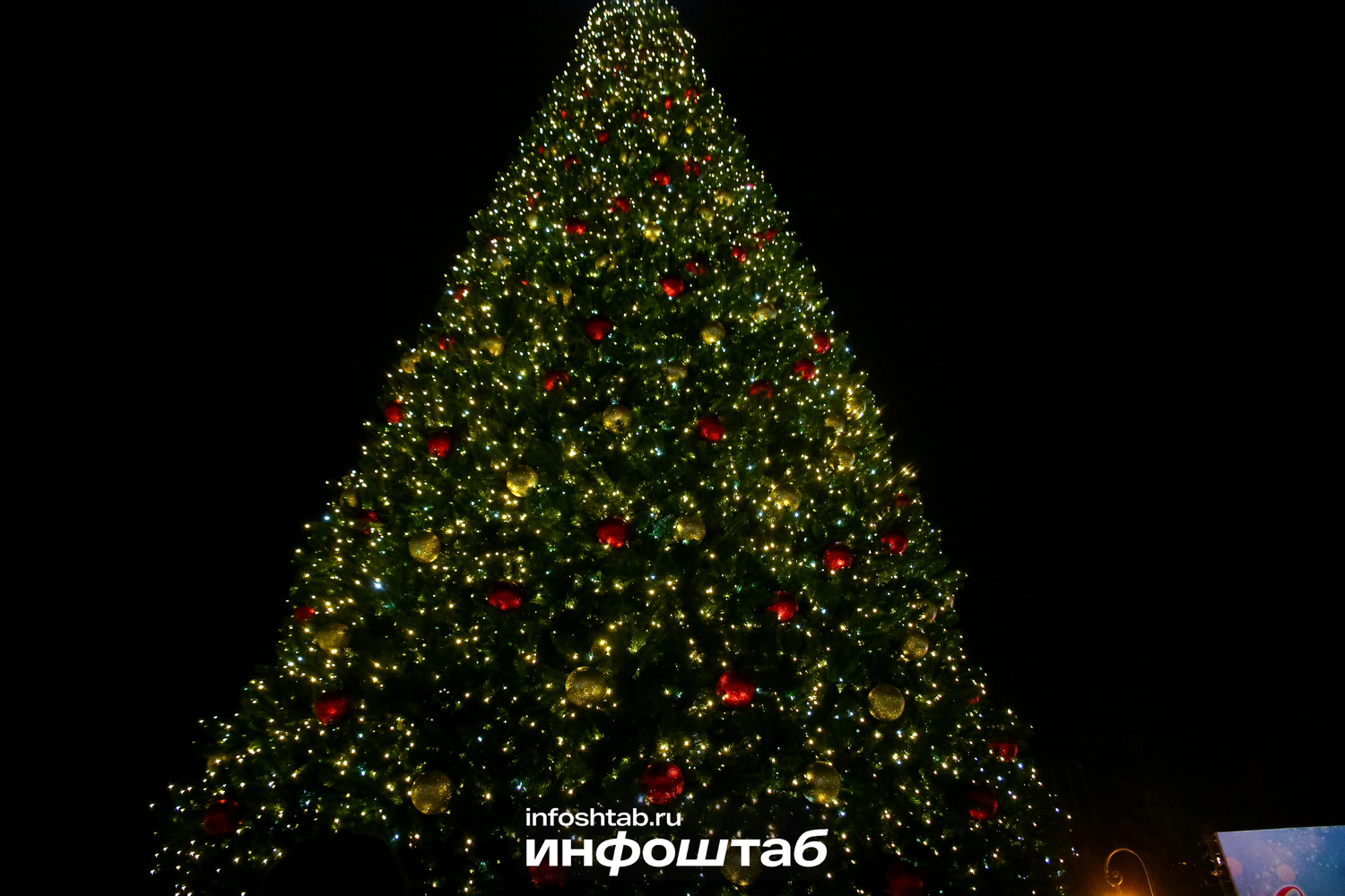 Отсчёт до праздника: на главной ёлке Астрахани зажглись огни