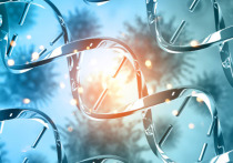 В чем секрет долгой жизни? Кто–то может списать это на удачу, в то время как другие верят в ежедневную чашку чая, но, согласно исследованию, секрет дожития до 100 лет может заключаться в том, что у человека больше ДНК охотника–собирателя