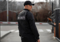 Снизить предельный возраст школьных охранников предложил аналитик по безопасности, антитеррору и молодежной политике Станислав Веселов