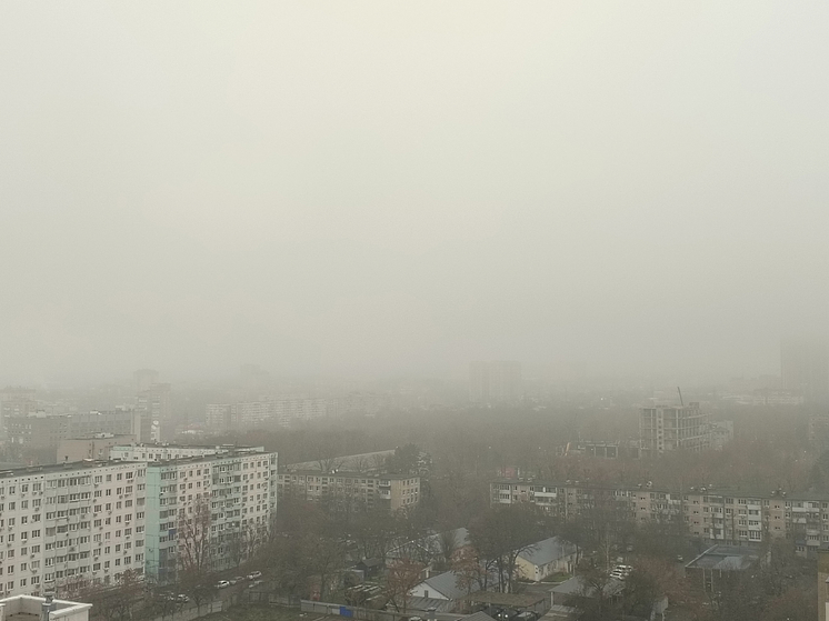 Густым туманом заволокло улицы Ростова утром 20 декабря