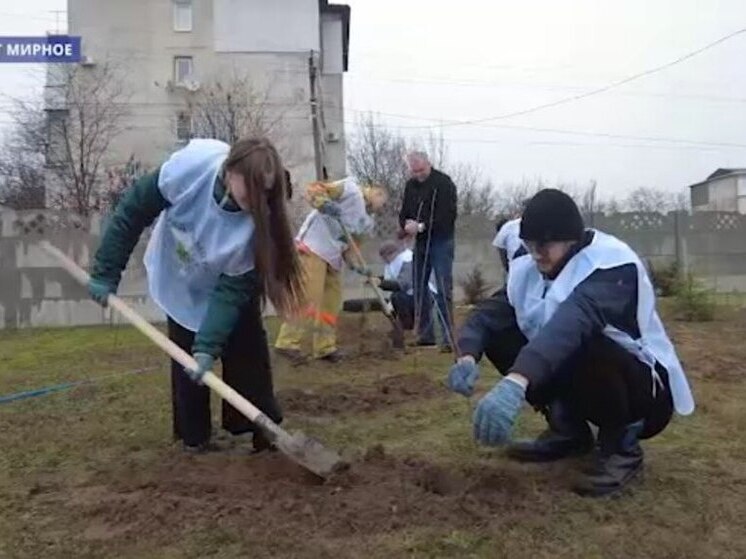 В Запорожской области высадили 1500 плодовых деревьев и кустарников