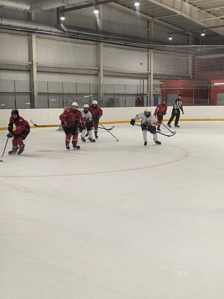 Брянские хоккеисты победили на соревнованиях Первенства региона