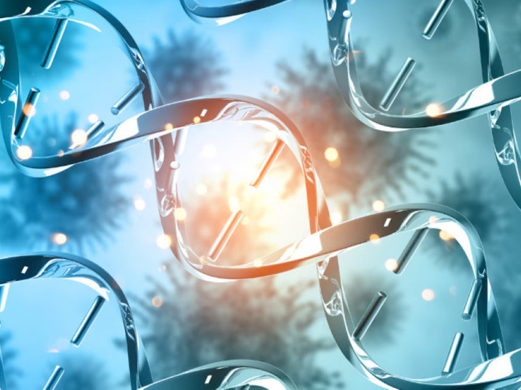 ДНК охотника-собирателя может быть фактором долгой жизни