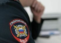 Недавно в родительском чате нашей школы родители начали предупреждать друг друга: у метро объявилась банда подростков, человек на 15-20