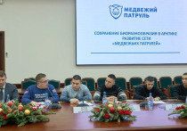 Белый медведь — символ дикой природы Арктики, однако изменение климата вынуждает этих крупных хищников покидать привычную среду обитания и приближаться к человеческим поселениям