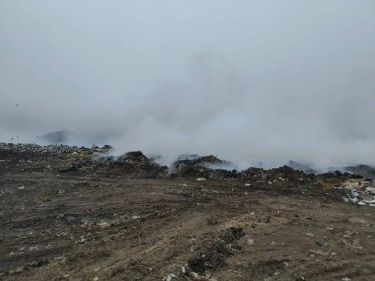 В Новошахтинске горел мусорный полигон