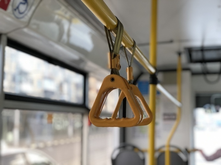 В Тульской области хотя внедрить биометрию для оплаты проезда