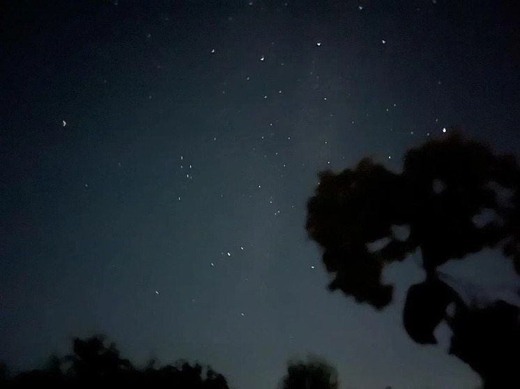 Рязанец заснял метеорный поток Геминиды