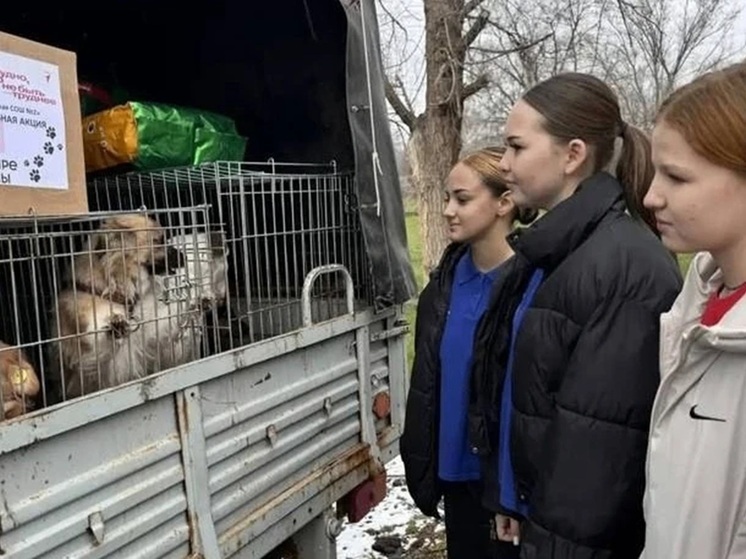 В пункт временного содержания животных в Элисте передали корм