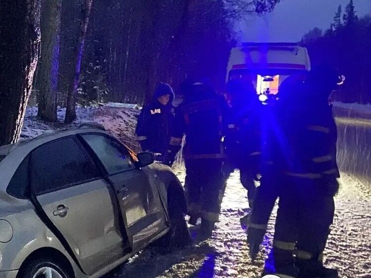 «Лада» в деревне Аракюля таранила дерево, пострадал водитель
