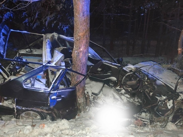 В Зауралье легковушку удар об дерево разорвал на части, водитель погиб