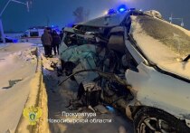 В Новосибирске суд заключил под стражу водителя внедорожника Mercedes, устроившего ДТП на Советском шоссе, в результате которого погибли шесть человек, в том числе двое детей