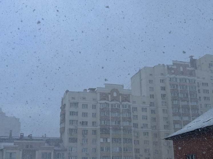 Белгородцев предупредили о 6 градусах мороза в воскресенье