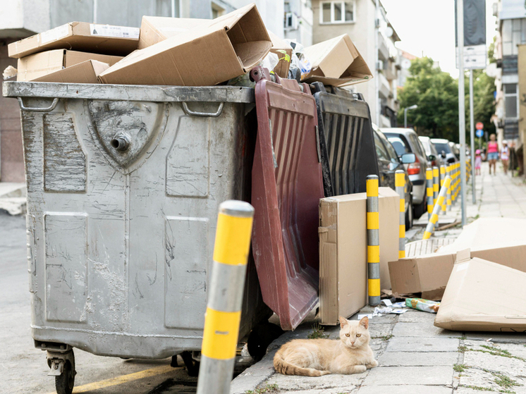 Ремонт в квартире? Выброс строительного мусора в общие контейнеры грозит тамбовчанам штрафом