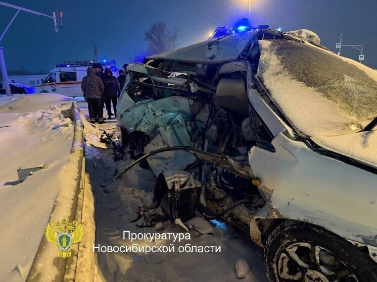 В Новосибирске суд заключил под стражу водителя внедорожника Mercedes, устроившего ДТП на Советском шоссе, в результате которого погибли шесть человек, в том числе двое детей