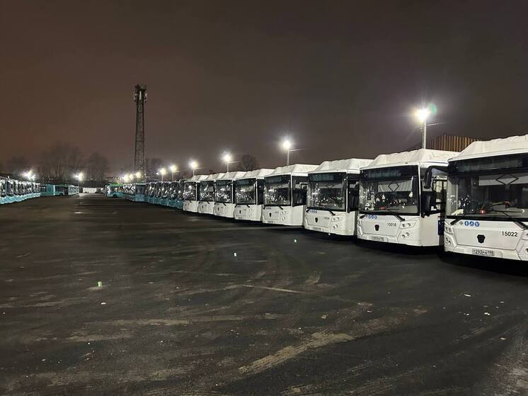 В Петербурге 96 автобусов вышли на маршруты из нового парка на Гаражном