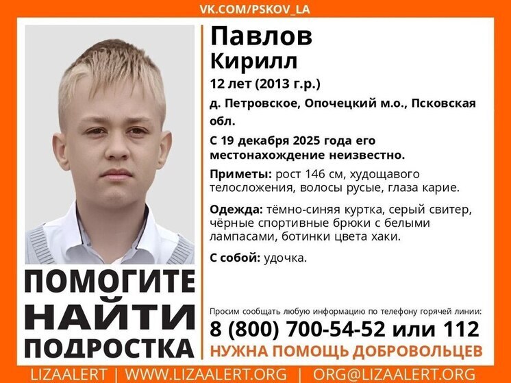 12-летний Кирилл Павлов пропал в Опочецком районе